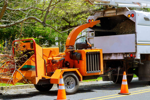 Mulching Services in Shakopee, MN